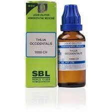 SBL Thuja Occidentalis 1000 CH