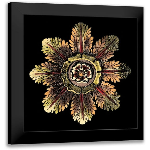 Antonini, Da Carlo 12x12 Black Modern Framed Museum Art Print Titled - Rosette on Black II