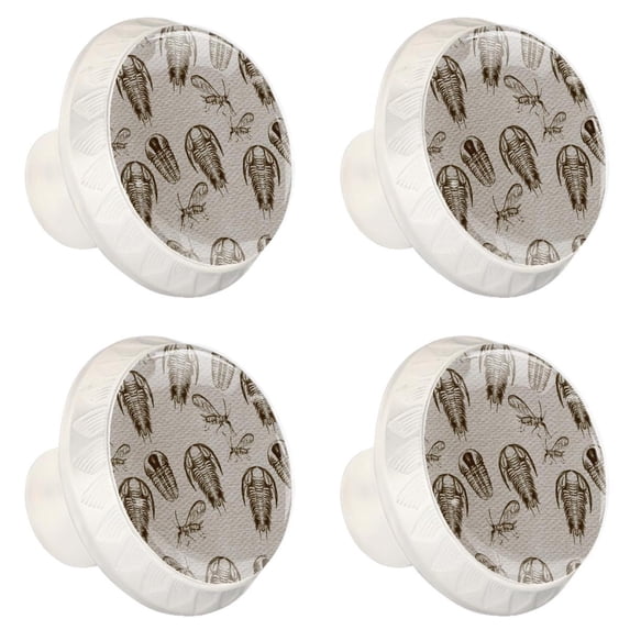 4 Pcs Insect Knobs for Kitchen Cabinet Cupboard Dresser Bookcase Drawer Pulls Handles Round Home Decor