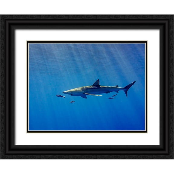 Abreu, Fernando 14x12 Black Ornate Wood Framed with Double Matting Museum Art Print Titled - Under A Ray Of Sunlight