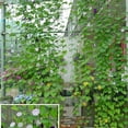 thumbnail image 5 of Climbing Vine Pergola Flowers Net for Plants Petunia Garden Trellis Vines Fruit 2 Pcs, 5 of 6