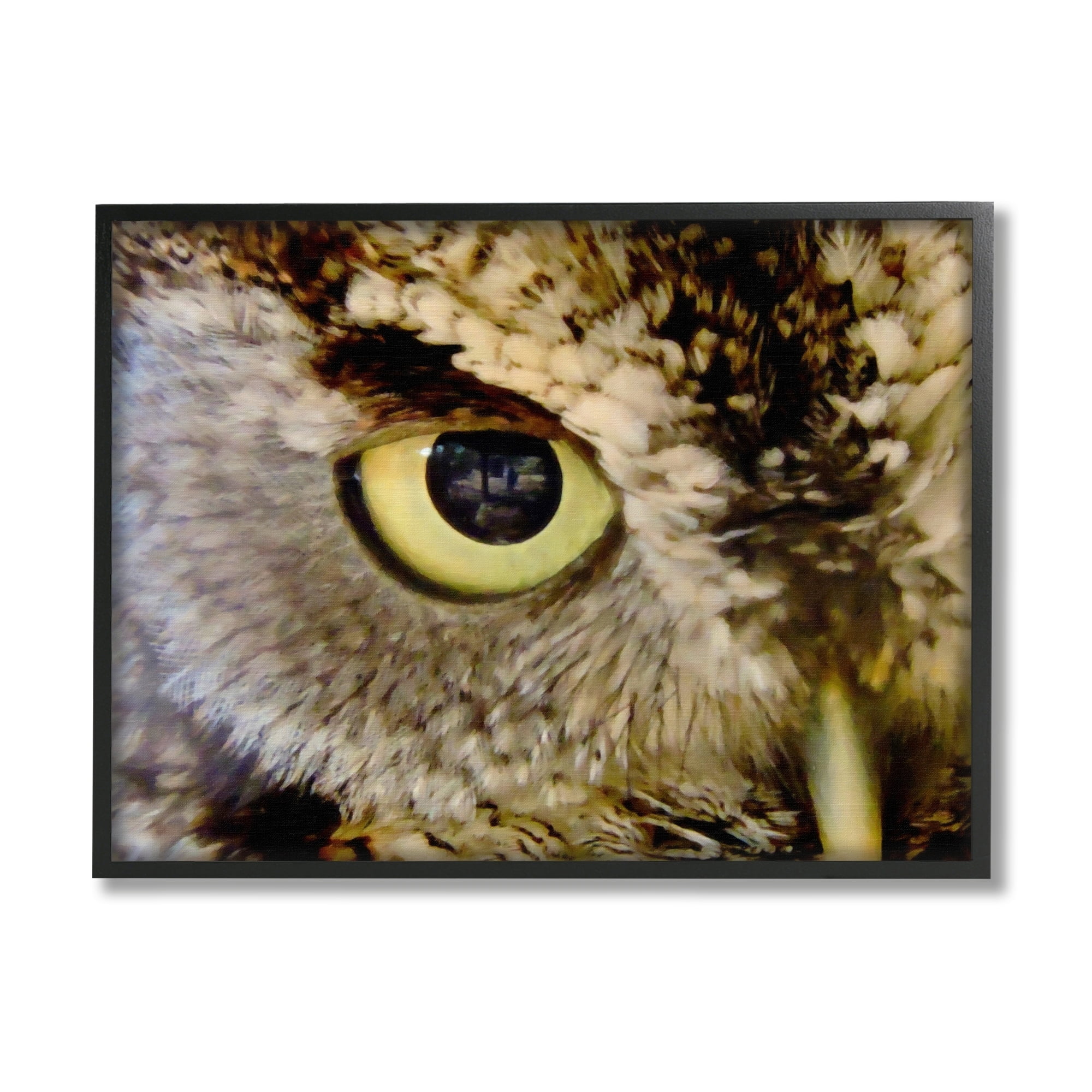 Stupell Industries Owl Eye Close Up Wildlife Animals & Insects Painting Gray Framed Art Print Wall Art