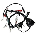 thumbnail image 2 of Arnes Electrico Roda Italika DM 200 12V, 2 of 2