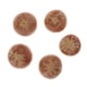 thumbnail image 5 of 5 piezas de decoración secos naturales manualidades DIY decoración de accesorios s, 5 of 8