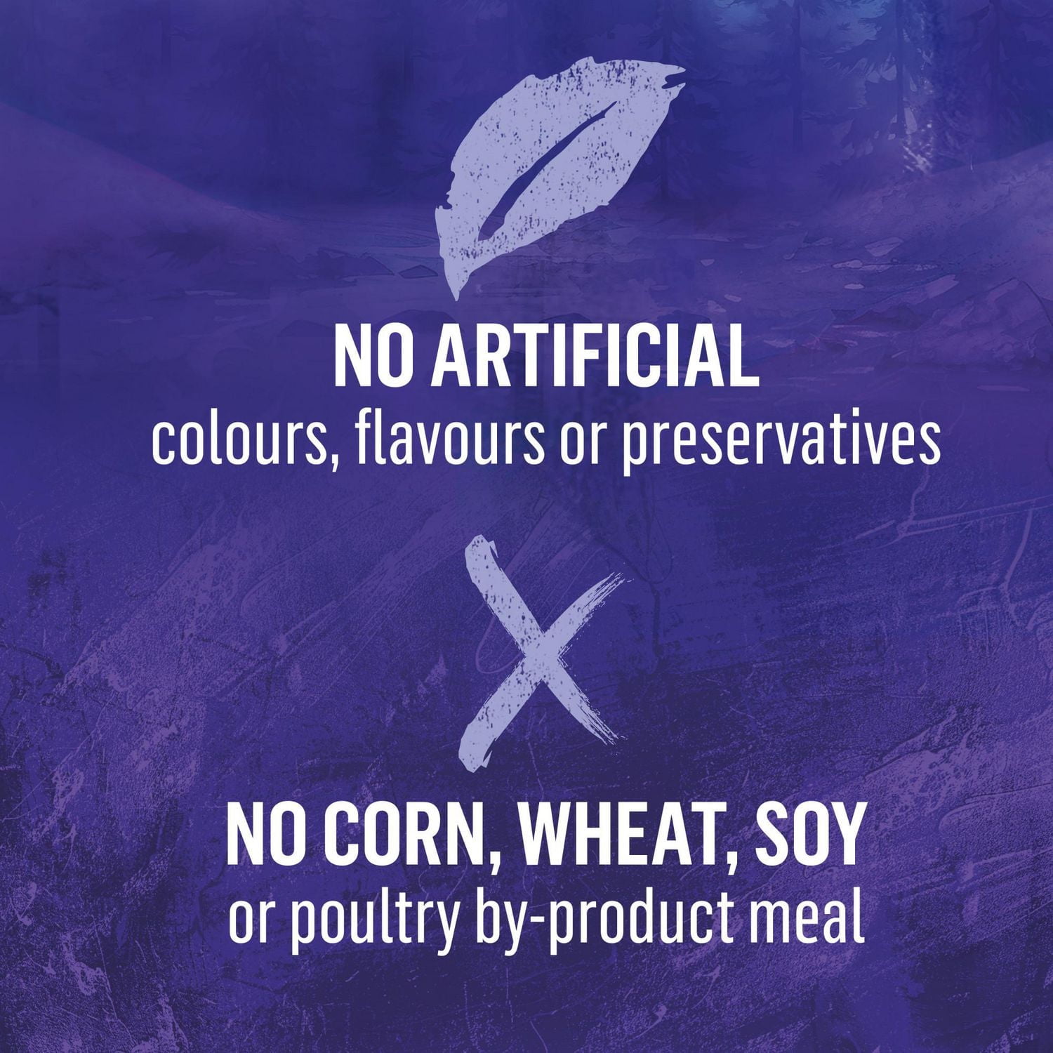 Beyond Wild Recette De Dinde, D'Œufs Et De Bouillon D'Os, Nourriture Sèche pour Chiens 1.36-4.5 kg