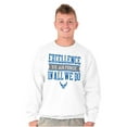 thumbnail image 5 of US Air Force Excellence in All We Do Sweatshirt for Men or Women Brisco Brands M, 5 of 6