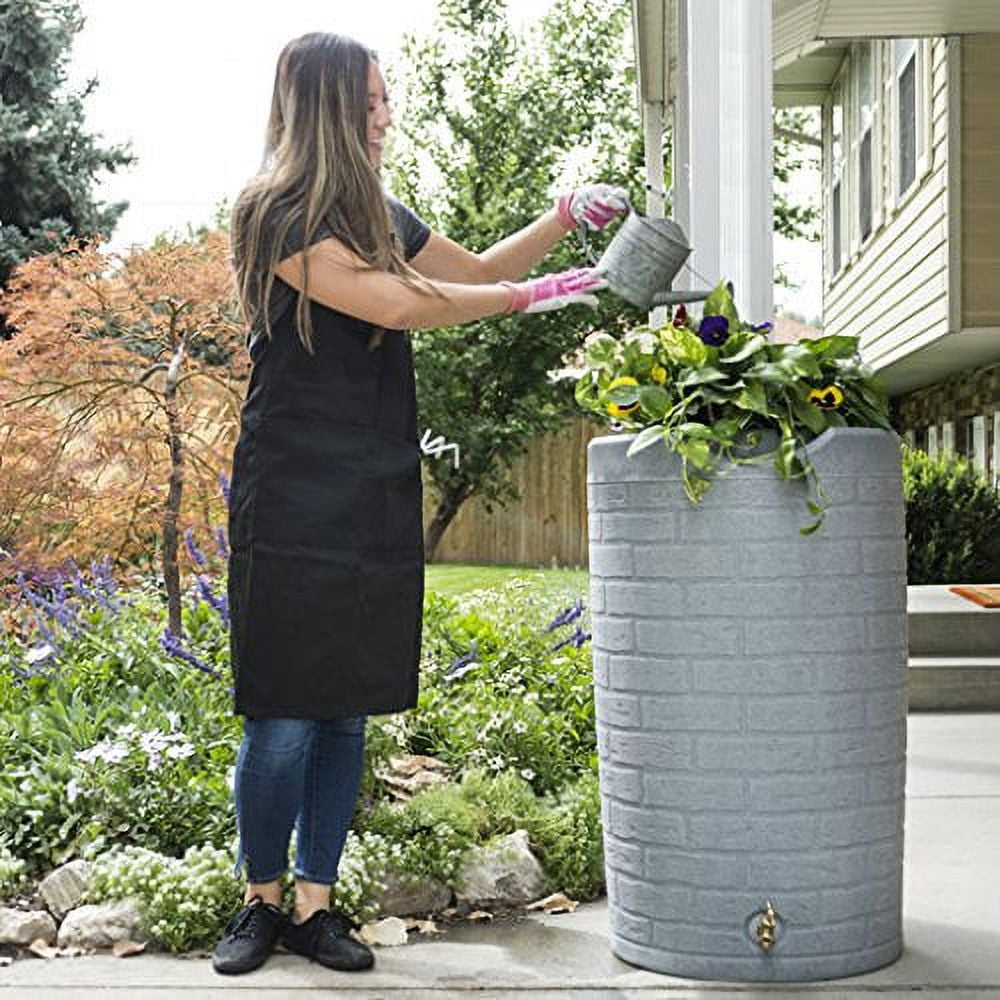 Good Ideas Impressions Downton 50-Gallon Rain Saver with Planter