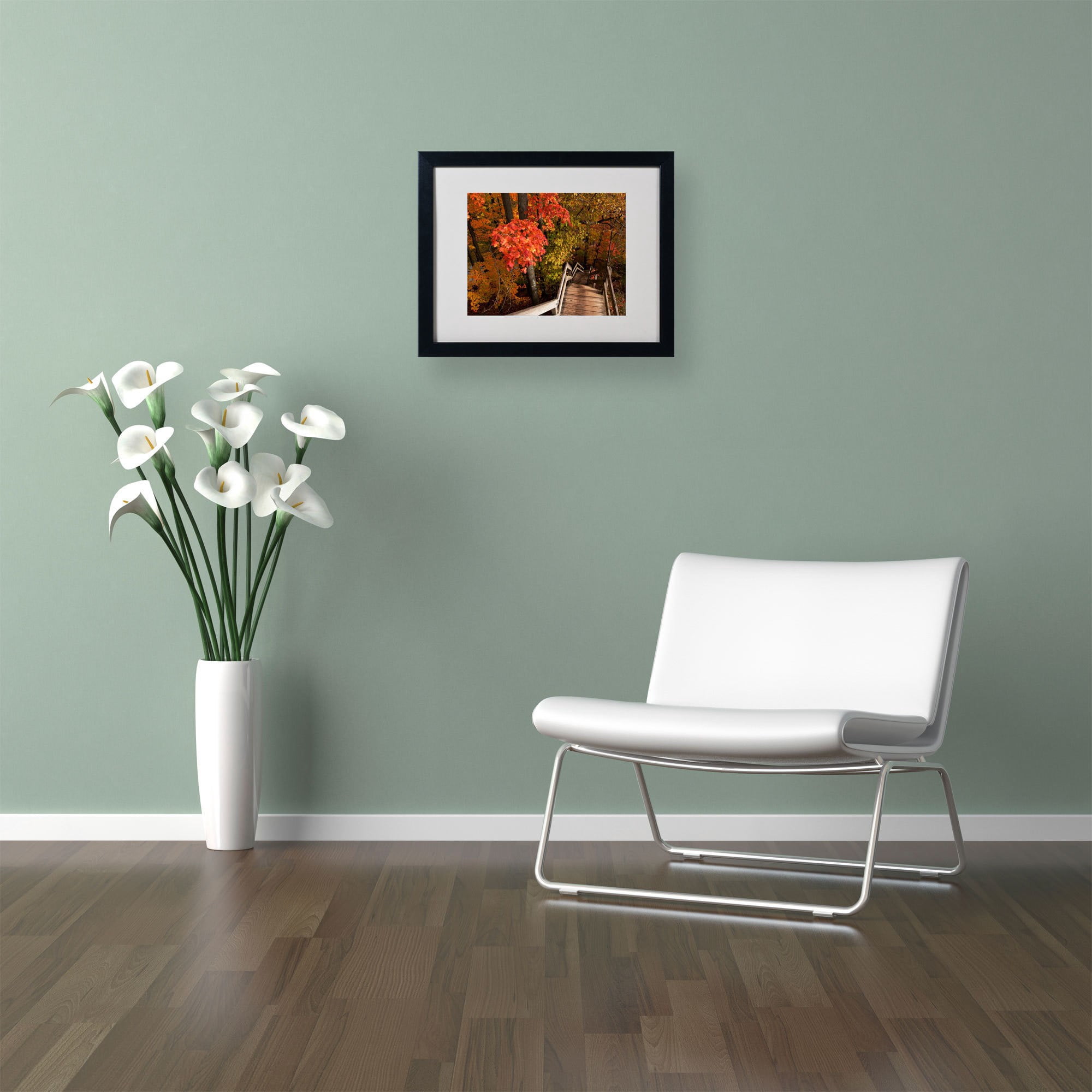 Trademark Fine Art "Brilliant Autumn Stairway" Canvas Art by Kurt Shaffer, Black Frame