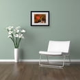 thumbnail image 4 of Trademark Fine Art "Brilliant Autumn Stairway" Canvas Art by Kurt Shaffer, Wood Frame, 4 of 4