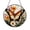 Stained Glass 7.87 Inch, variant on Butterfly among Iris Blooms Glass Suncatcher Window Hanging Refined Floral Home Decoration