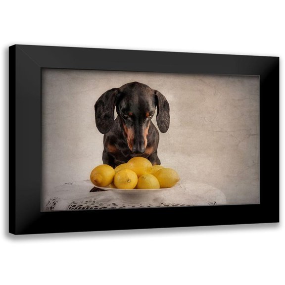 Willers, Heike 14x11 Black Modern Framed Museum Art Print Titled - When Life Gives You Lemons...
