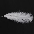 thumbnail image 3 of 100 Pieces White Natural Ostrich Feather 20-25cm Wedding DIY, 3 of 5
