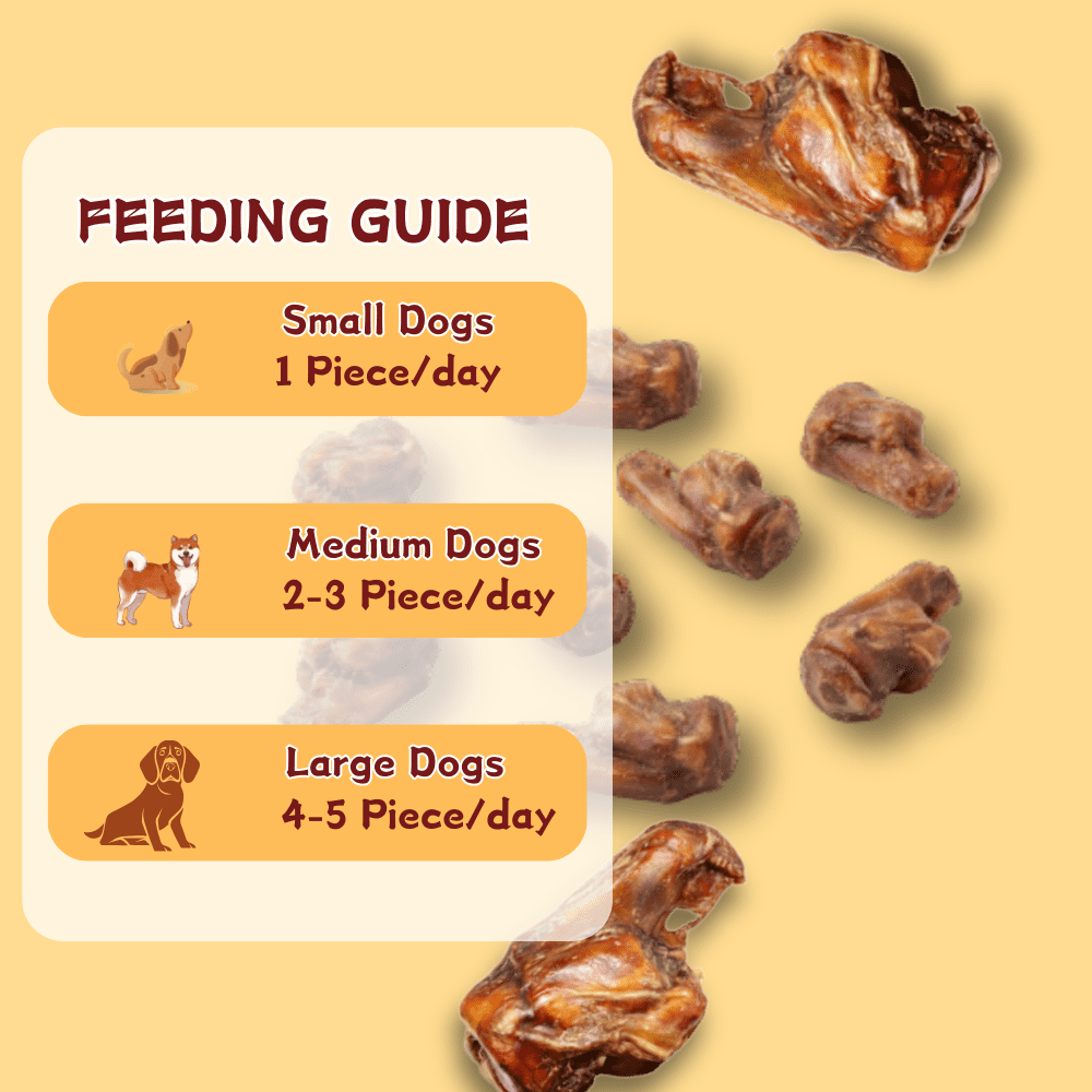 Tender Touch All-Natural Beef Knuckle Bones for Dogs, A Whole and Hearty Single Ingredient Chew for Dental Care and Entertainment, 6 Count