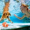 thumbnail image 4 of Swimming Pool Football Fills with Water Pool Water Game Toy Interactive Toy Football for Under Water Passing Dribbling Swimming Toy Football for Kids Adults, 4 of 11