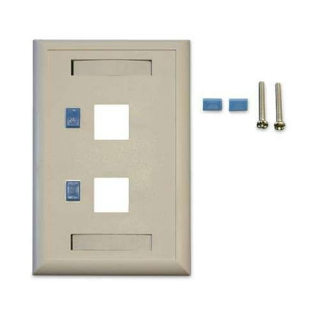 Tripp Lite Accessory N042-001-WH 2-Port White Keystone Faceplate Retail