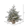 thumbnail image 2 of Vickerman 24" Frosted Sable Pine Artificial Christmas Tree, Clear Dura-Lit® Lights, 2 of 4