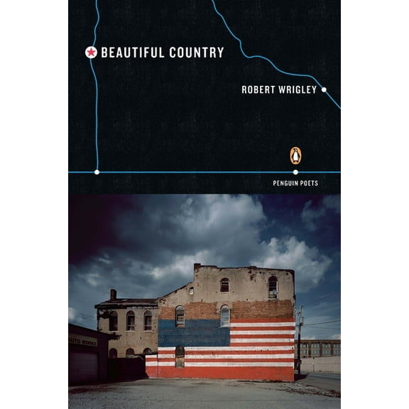 Penguin Poets Beautiful Country, (Paperback)