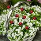 thumbnail image 4 of Estacas de Jardín de Abejas Rebotadoras Activadas por el Viento de Primavera - Set de decoración exterior de resina de 10 piezas para macetas y jardines, 4 of 7