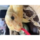 thumbnail image 5 of Simulación de animal de peluche con forma de serpiente de Shelley de 3 m, extralarga, 5 of 7