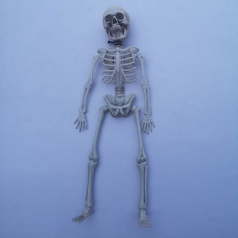 Halloween Decorations Skull 16'' Full Body Skeleton Props Realistic Human  Bones with Movable Joints for Halloween Decoration