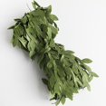 thumbnail image 4 of Artificial Vines Leaf Garland DIY Art Crafts Greenery Ribbon Para Pared Jardín Coronas Del plata verde BLESIY Cinta de hojas de satén de poliéster, 4 of 8