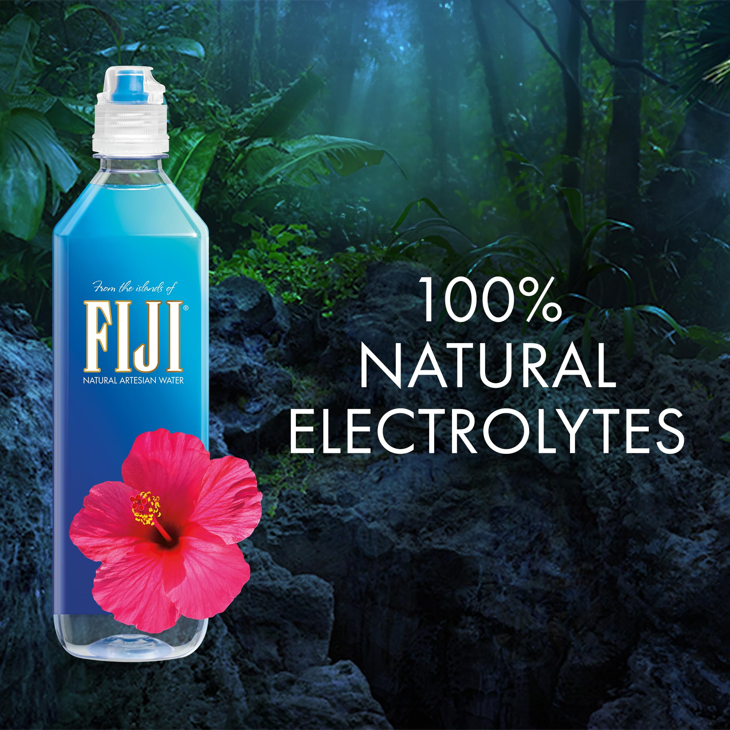 Natural Artesian Bottled Water 700 mL / 23.7 Fl Ounce (Pack of 12) - Sports Cap