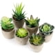 thumbnail image 1 of Planta Artificial Interior 6 Piezas, Plantas Falsas con Maceta Gris Decoración de Césped Artificial para Bodas al Aire Libre Mesa de Oficina Jardín Nuevo Regalo para el Hogar, Pequeñas Suculentas, 1 of 7
