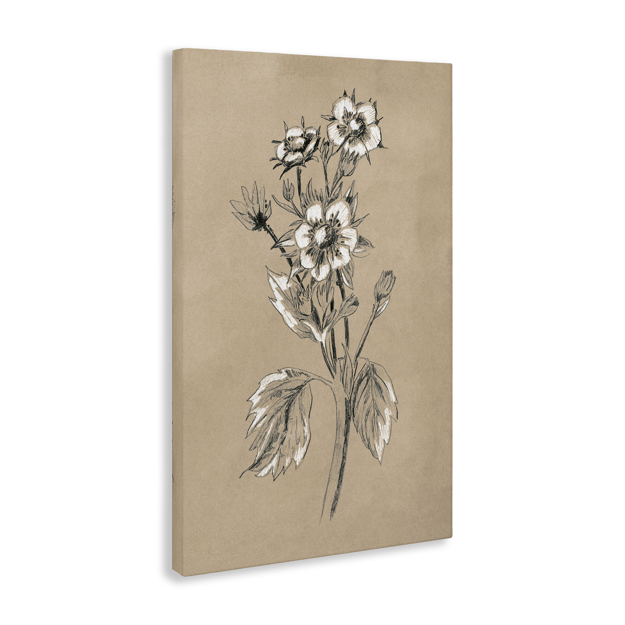 Stupell Industries Apple Blossom Drawing Botanical & Floral Drawing Gallery Wrapped Canvas Art Print Wall Art, 24 x 36