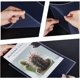 thumbnail image 3 of 10 fundas rígidas de plástico transparente de 23 x 29 cm, resistentes al agua, para documentos, fotos, fotos y documentos., 3 of 5