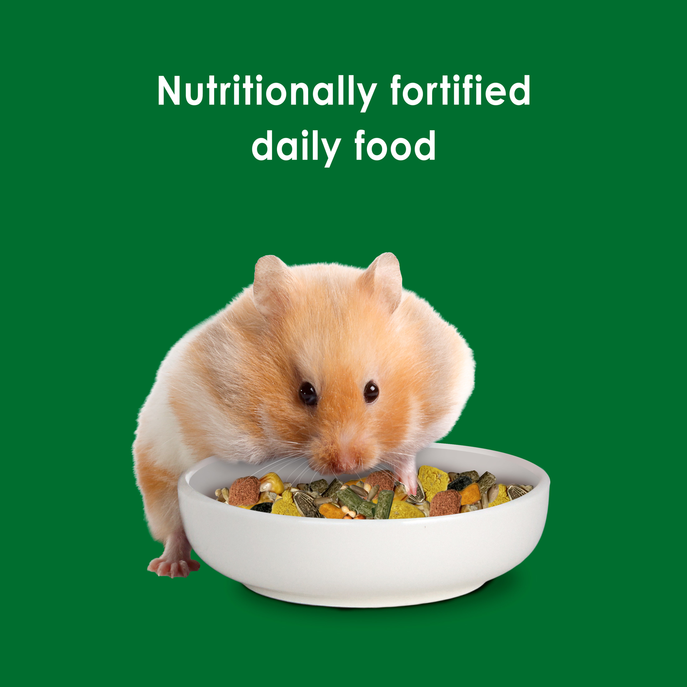 Kaytee Forti-Diet Hamster & Gerbil Food, 5 Pounds photo 3