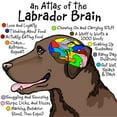 thumbnail image 3 of CafePress - Chocolate Lab Brain T Shirt - Men's Classic Graphic Cotton T-Shirt, 3 of 4