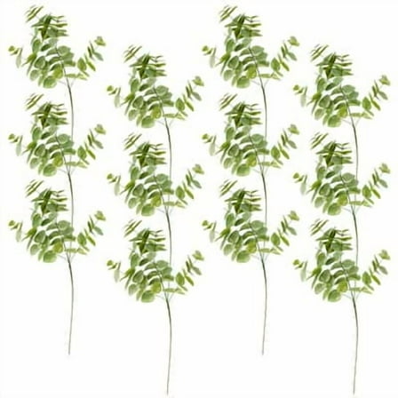 12 Pack: Green Eucalyptus Branch by Ashland