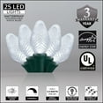 thumbnail image 2 of Wintergreen Lighting C7 LED Christmas Lights, 25 Bulb, 8" Spacing – Green Wire, 2 of 7