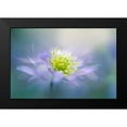 thumbnail image 2 of Parker, Jacky 14x11 Black Modern Framed Museum Art Print Titled - Windflower, 2 of 5