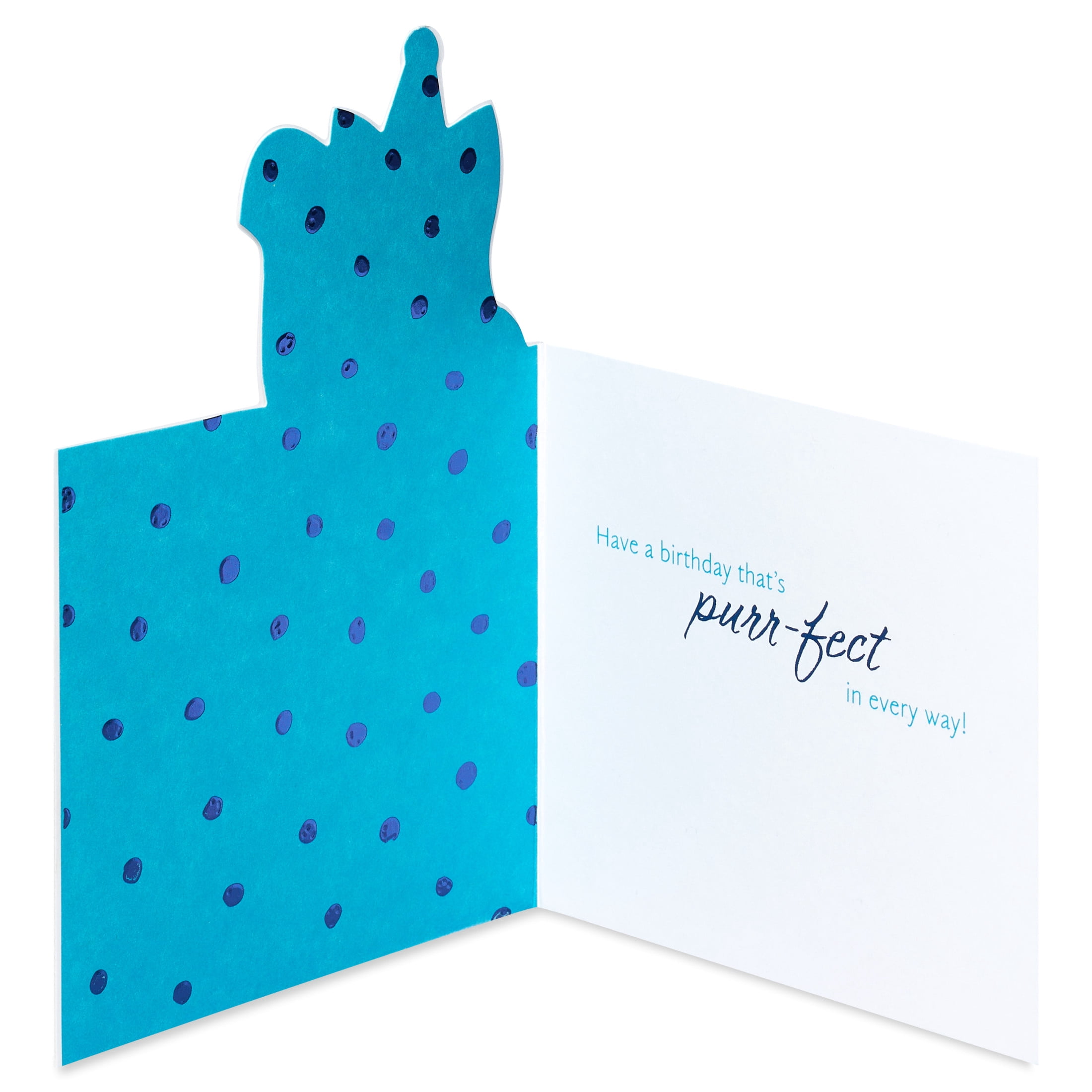 American Greetings Birthday Card for Anyone (Purr-fect)