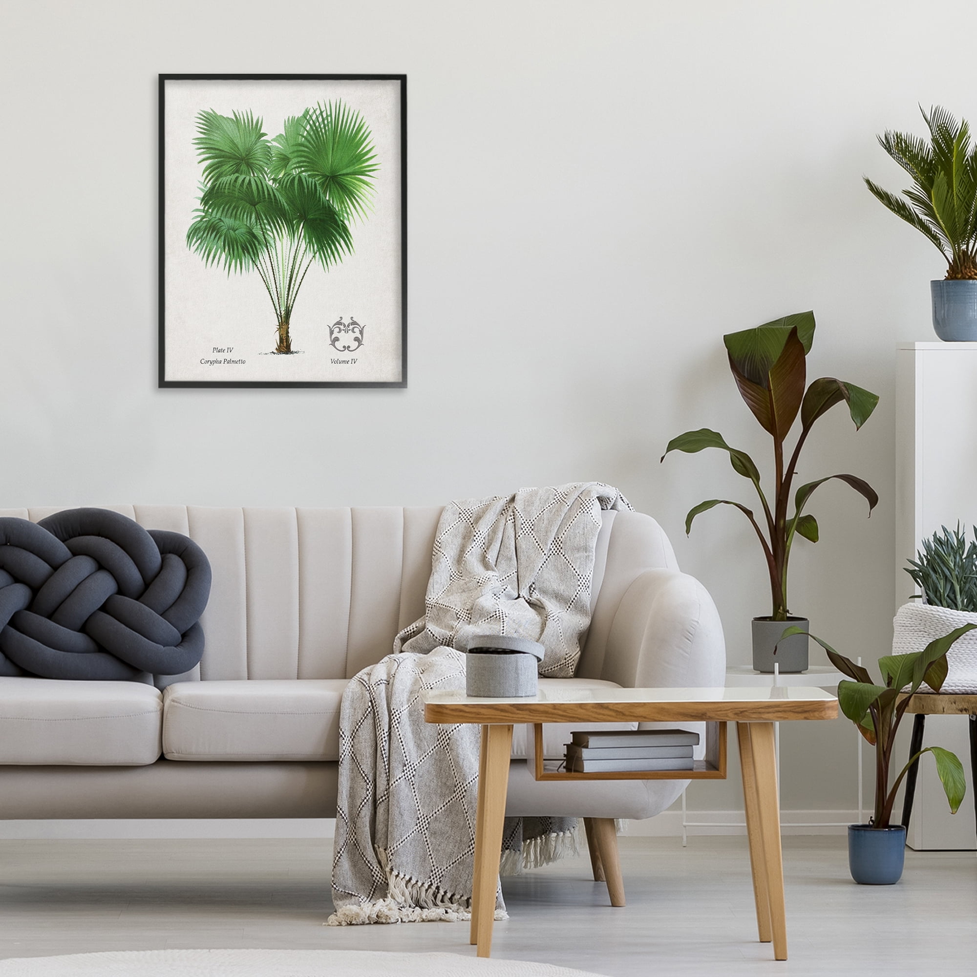 Stupell Industries Fan Palm Vintage Study Black Framed Giclee Art, design by Val Rhodes