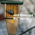thumbnail image 4 of Birds Choice 12" Recycled Single Cake Tail Prop Suet Feeder, Taupe/Green, 4 of 13