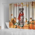 thumbnail image 4 of Happy Thanksgiving Great Dane with Turkey Pumpkins Autumn Vibes Shower Curtain Danes Dog Lover Gifts Waterproof Bathroom Bathtub Curtain - 12018, 4 of 5