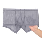 TANBOM Men's Sexy Mesh See Briefs Nylon Underwear Pack Gray M 1-Pack