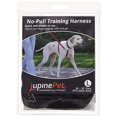 thumbnail image 2 of 1in Black 26-38 No Pull Dog Harness, 2 of 3