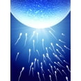 thumbnail image 2 of Spermatozoons Floating to Ovule Wall Mural by Wallmonkeys Peel and Stick Graphic (36 in H x 27 in W) WM126046, 2 of 4
