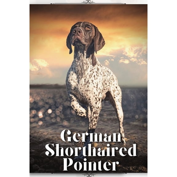 German Shorthaired Pointer: Dog breed overview and guide