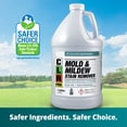 thumbnail image 4 of Quitamanchas de moho y hongos CLR PRO, botella de 3,78 L, resistente, 4 of 6