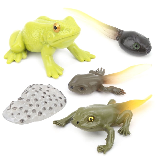 Children Animal Model Toy Convenient Animals Growth Cycle Mode Reusable Life Cycle Model Set For Children #1,#2,#3