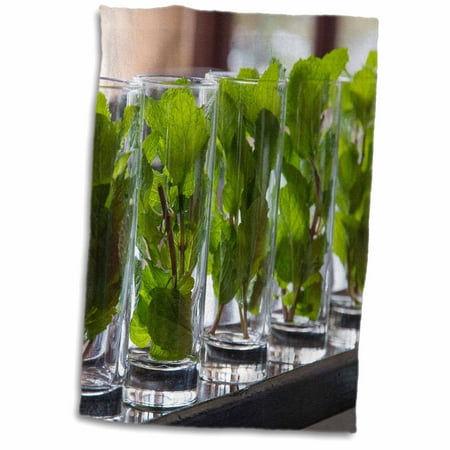 3dRose Caribbean, Cuba, Hotel. Glass filled with mint to make mojitos. - Towel, 15 by