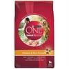 Purina One 31.1 lb Smartblend Adult Chicken and Rice Dog Food