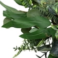 thumbnail image 5 of Northlight Eucalyptus and Fern Mixed Foliage Artificial Spring Wreath - 24", 5 of 9
