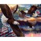 thumbnail image 1 of American Eagle DIY Diamond Painting Kits Full Round Drill Home Wall Decor Hugtrwg Para estrenar, 1 of 9