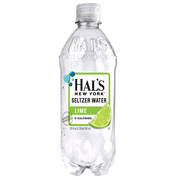 Hal's NY Beverage, Lime, 20 Fl Oz Bottles (12 Pack)