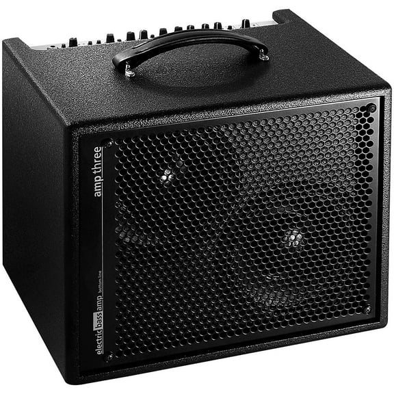 AER Amp-Three 200W Bass 2x8 Combo Amp